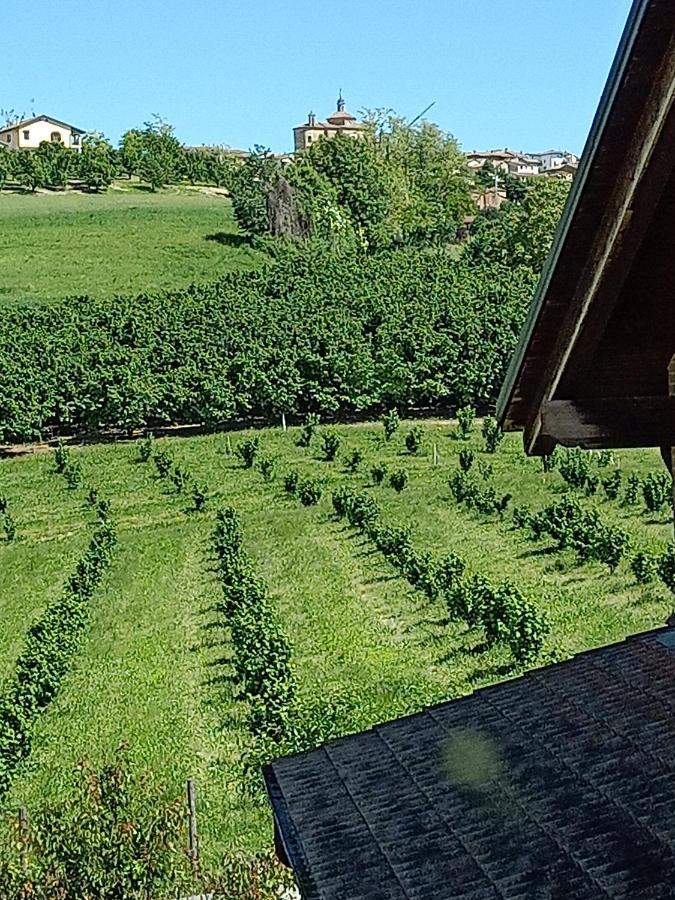Apartament Vite Dipinte 1 Bilocale In Langa Novello Zewnętrze zdjęcie